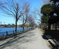 釣り池公園