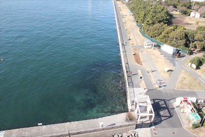 若洲海浜公園 東京都内の釣り場ガイド